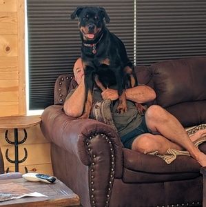 Meet your Posher, Roberta